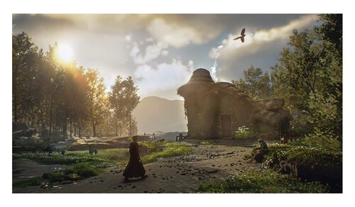 Hogwarts Legacy  Xbox Series X Juego 