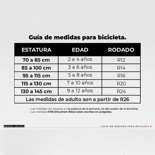 Bicicleta V Industries 200 Rodada 20 Morado De Montaña