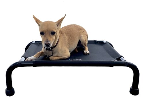 Cama Elevada Para Perro Mini.