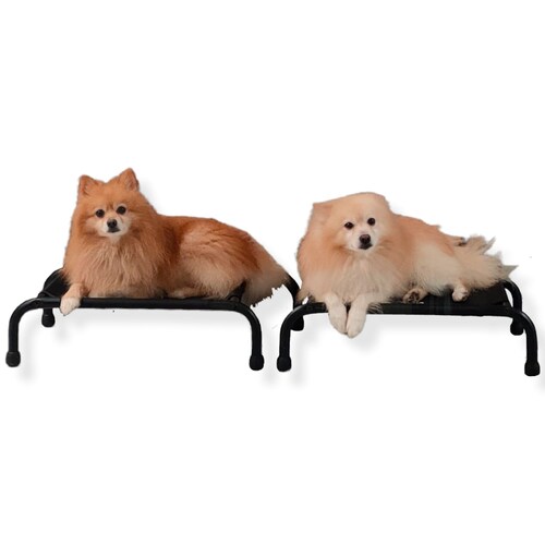 Cama Elevada Para Perro Mini.