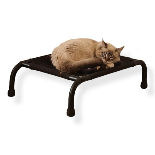 Cama Elevada Para Perro Mini.