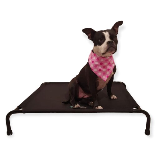 Cama Elevada Para Perro Chica.