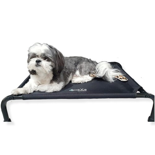 Cama Elevada Para Perro Chica.