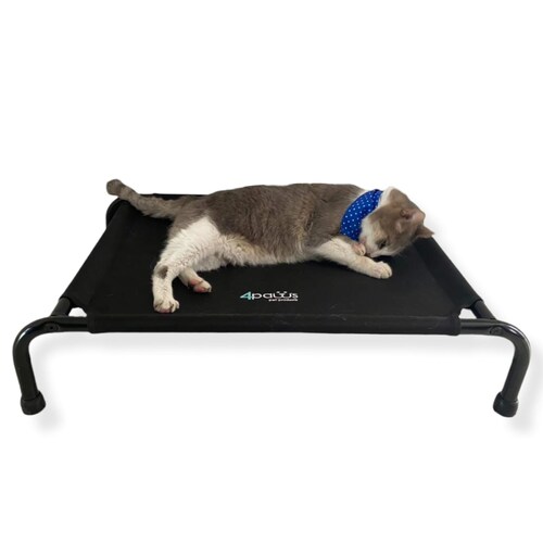 Cama Elevada Para Perro Chica.
