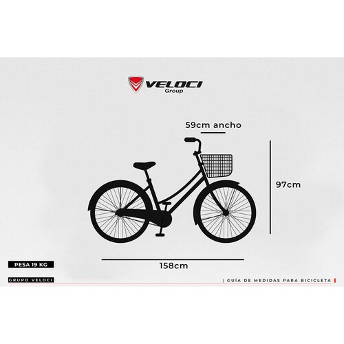 Bicicleta Veloci Haigo Rodada 24 Plata