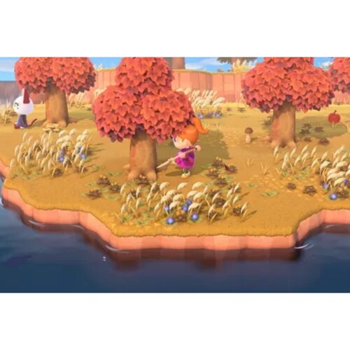 Animal Crossing New Horizons - Nintendo Switch