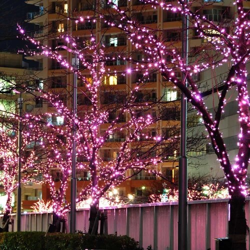 Cascada de Luces Navideñas Led 500 Focos Luz Rosa brillante