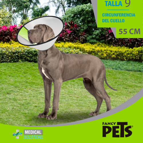 MS COLLAR ISABELINO TALLA 9 (55 CM)