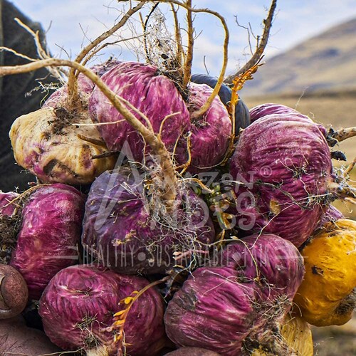 Kit Aguaje Y Macá Roja en Cápsulas (original de Perú)2 Unidades