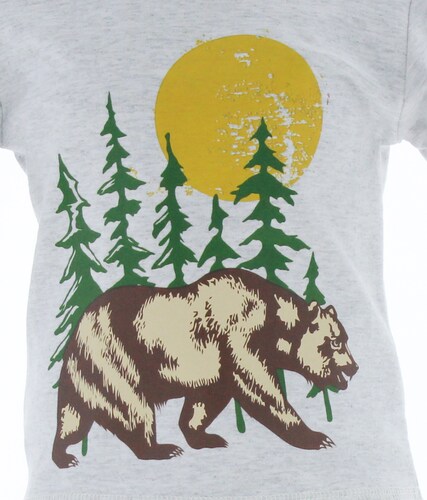 Playera Niño Gris Manga Larga T Shirt 3297 1 a 6 Años.
