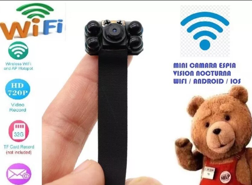 Oso con camara espia online