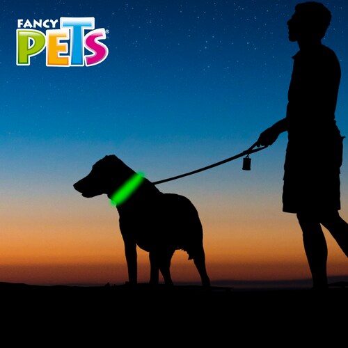 COLLAR LED REFLEJANTE CH.