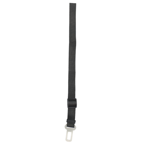 CORREA DE SEGURIDAD XTREME