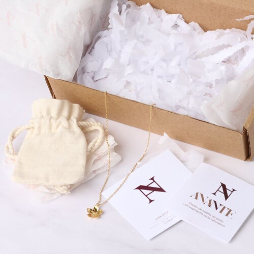 Dije Astros de Estrella con perla cultivada y cadena ajustable, Colección Astros, Joyería para Mujer de Anante Joyería.