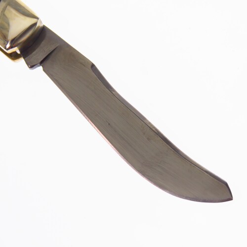Rr1775 Rough Rider Navaja Large Moose Jumbo Titanium Hueso