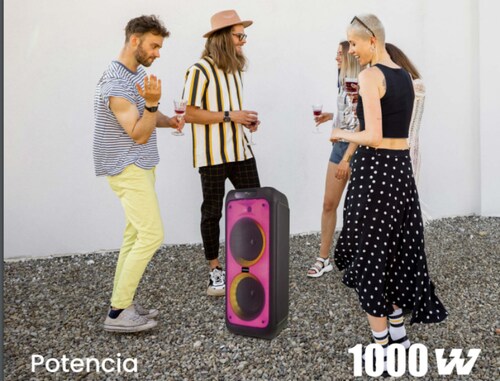 Bocina Aiwa 1000W| AWPOH2D