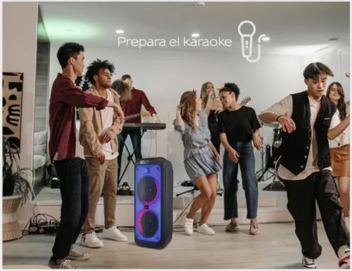 Bocina Aiwa 1000W| AWPOH2D