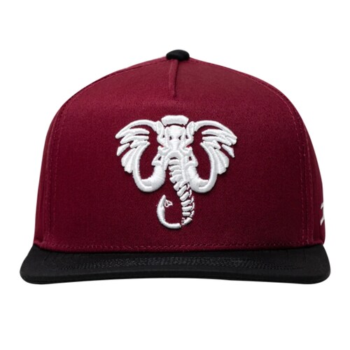 Gorra snapback  JC Hats Elephant Burgandy unitalla vino unisex 001420