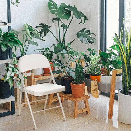 Silla plegable acojinada (blanca)