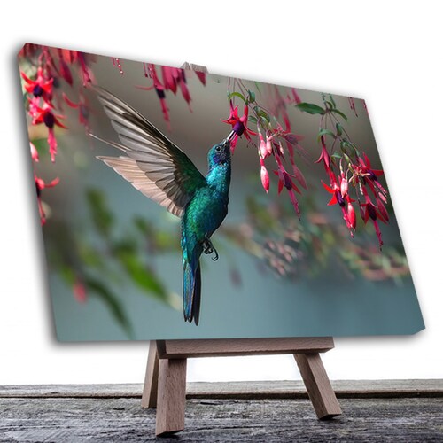 Cuadro Decorativo Canvas Ave Colibrí 90 X 60 cm  #3