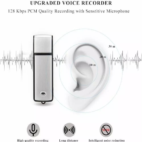 Grabadora De Voz Mini Micrófono Espía Con Usb 8gb