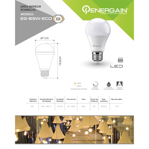 Energain Foco Led Docepack EG-B9W-ECO-F