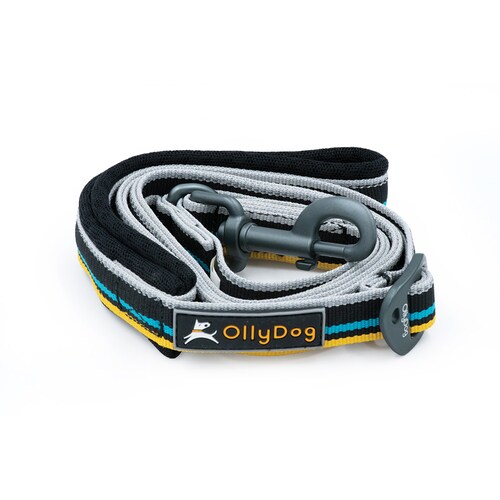 Correa Urbana para Perro ANTHRACITE Negro Ollydog
