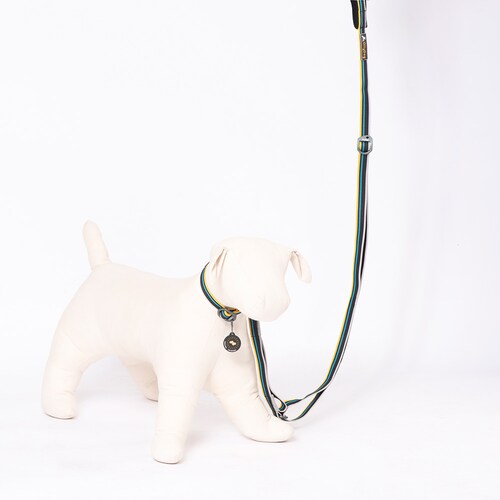 Correa Urbana para Perro ANTHRACITE Negro Ollydog