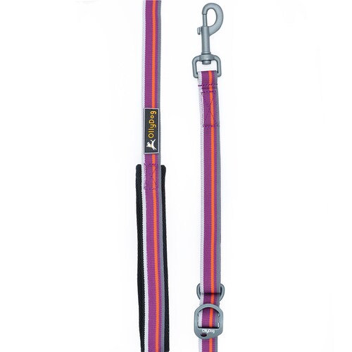 Correa Urbana para Perro WILD ASTER Violeta Ollydog