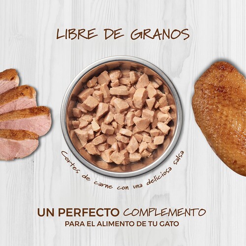 Instinct Alimento Húmedo Healthy Cravings Instinct 24 Pack Para Gato, Sobre Sabor Salmón. 85 g.