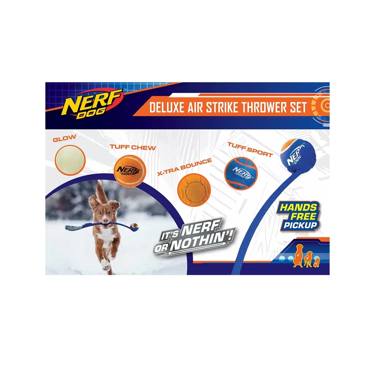 Nerf mascotas online