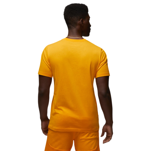 Camiseta Jordan Flight MVP DV8436-717