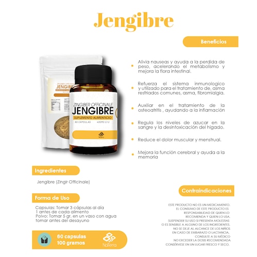 Jengibre NaTerra 100gm