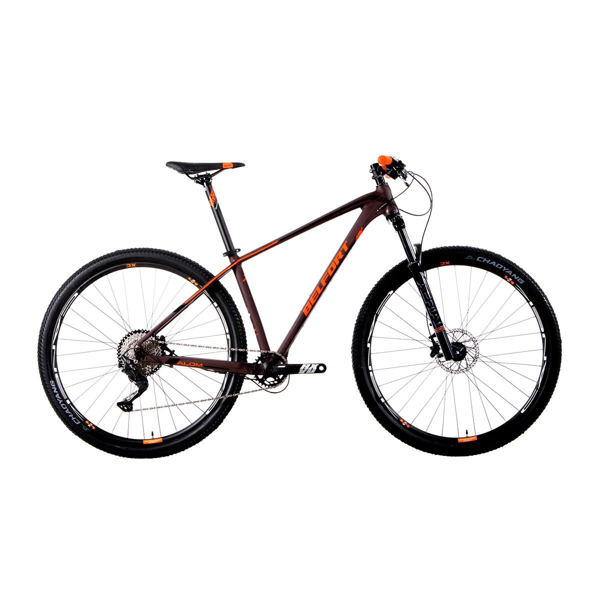 Bicicleta 2025 belfort r29