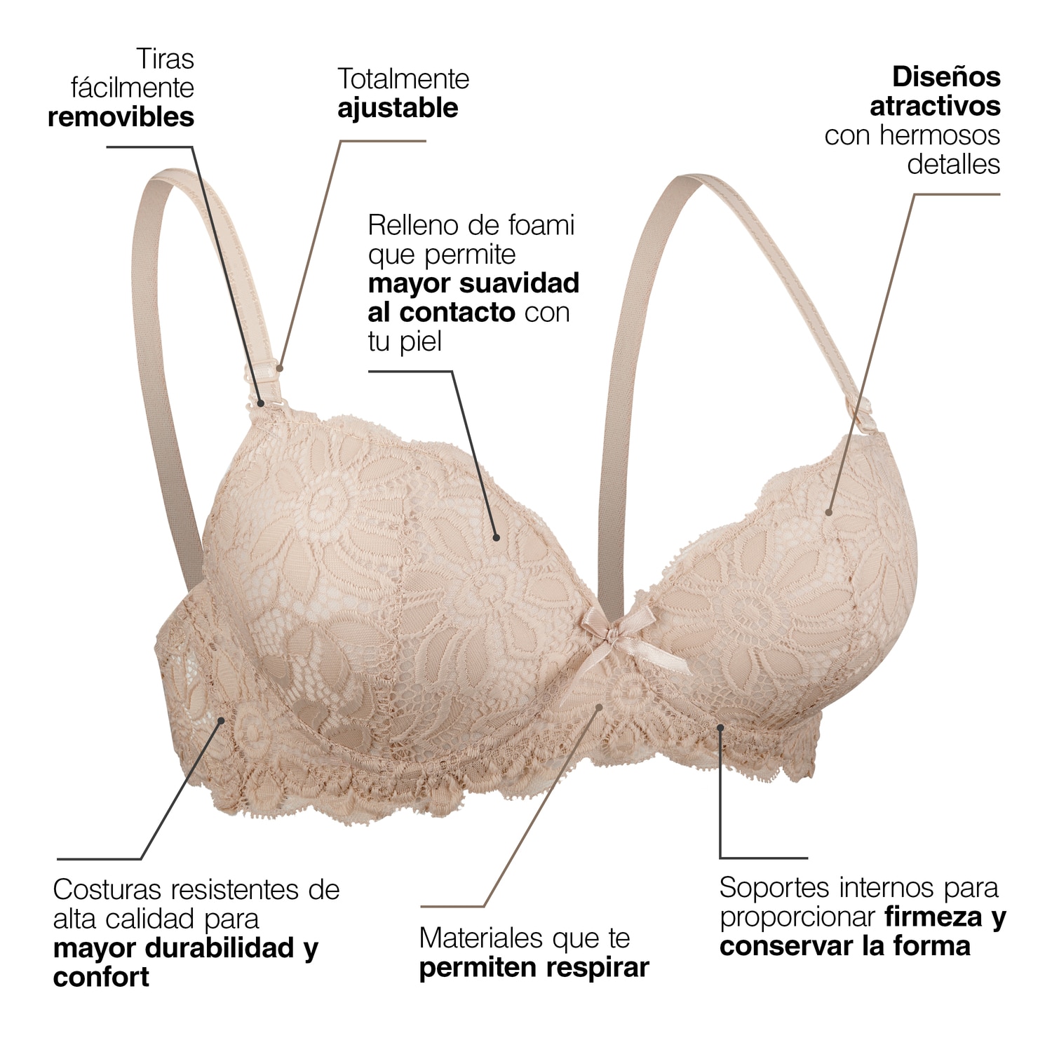 Brasier Paquete 3 Piezas Encaje Sexy Floreado Con Relleno