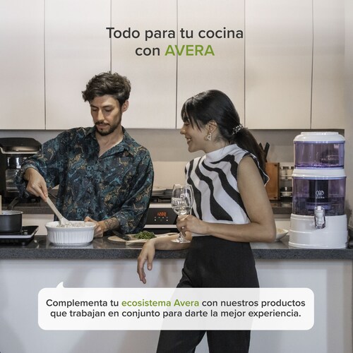 Parrilla A Gas 3 Quemadores Acero Inoxidable Avera AI3N