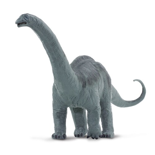 Figura De Dinosaurio Apatosaurus Safari Ltd Figura a Escala De Plástico Para Niños.