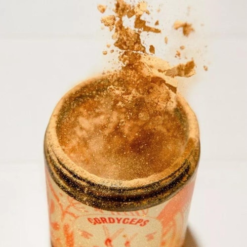 Hongo Adaptógeno Cordyceps 50g Commons Polvo 100% Orgánico