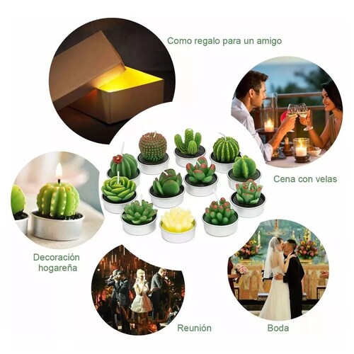 12pcs Velas Decorativas Cactus Suculenta Artificiales Verdes.