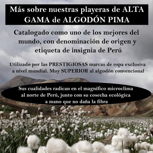 FINA Playera Hombre Alta gama Reg y Slim fit Party antro fiesta San Valentín 14 de febrero etc