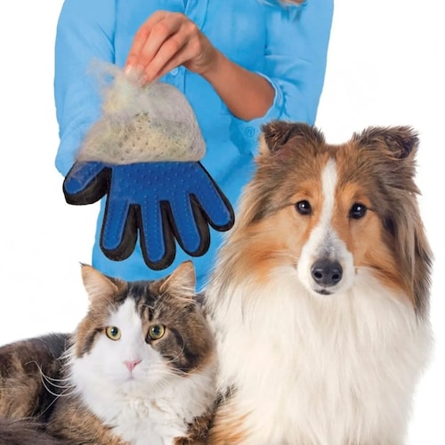 Guante Para Mascotas Perros y Gatos - No Más Pelos! Quita Los Pelos Más Fácil - Original Bluetouch