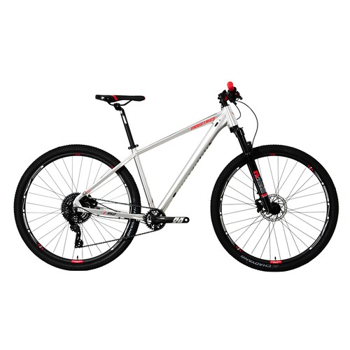 Bicicleta V Industries 950 Rodada 29 T19 Plata De Montaña 2024.