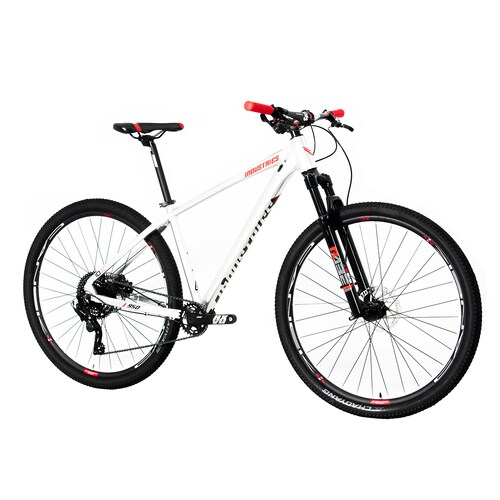 Bicicleta V Industries 950 Rodada 29 T19 Plata De Montaña 2024.