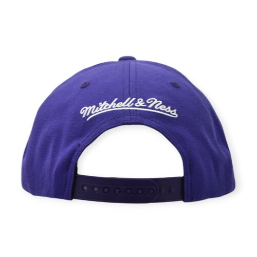 Gorra Toronto Raptors NBA Mitchell And Ness Team Ground 2.0