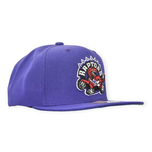 Gorra Toronto Raptors NBA Mitchell And Ness Team Ground 2.0