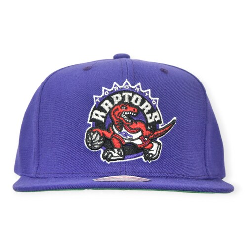 Gorra Toronto Raptors NBA Mitchell And Ness Team Ground 2.0