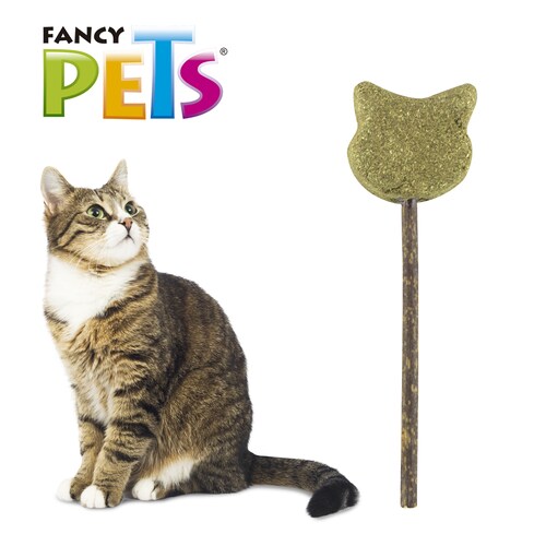 PALETA DE CATNIP GATO