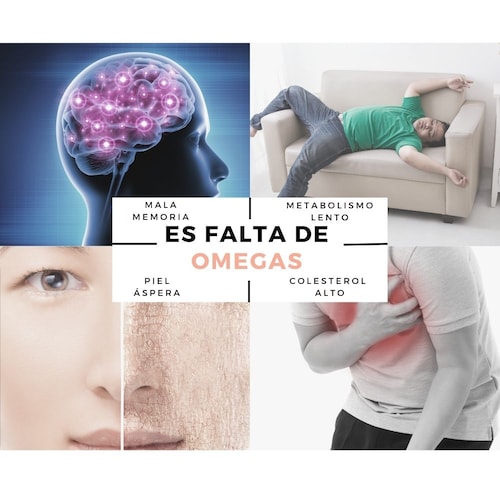 Omega Pro 3 6 y 9, Aceite de salmón, Aceite de linaza y Aceite de oliva Extra virgen, B Health Be Natural, 180 cápsulas 