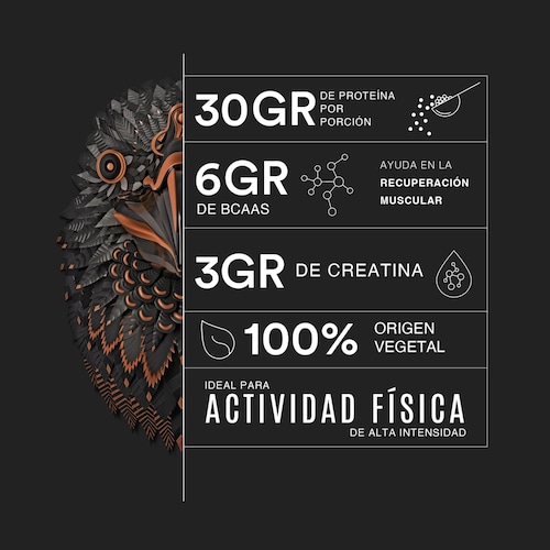 Proteina Vegetal Birdman Falcon Performance 1.14kg 27 Serv. - Chocolate