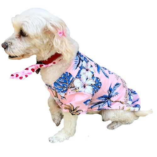 Camisa Hawaiana Para Perro Razas Pequeñas Gato 3 Pack